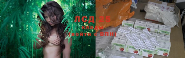 ПСИЛОЦИБИНОВЫЕ ГРИБЫ Алзамай