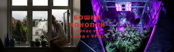 ПСИЛОЦИБИНОВЫЕ ГРИБЫ Алзамай