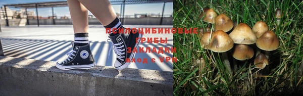 МДПВ Абдулино