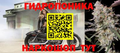 a pvp Сосновый Бор