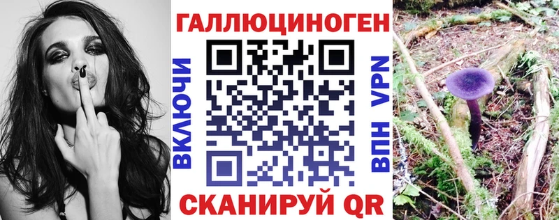 Псилоцибиновые грибы Psilocybe наркошоп Ефремов